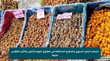 أسعار البلح السيوي والأنواع المختلفة في مطروح اليوم الاثنين وتأثير الطقس عليها